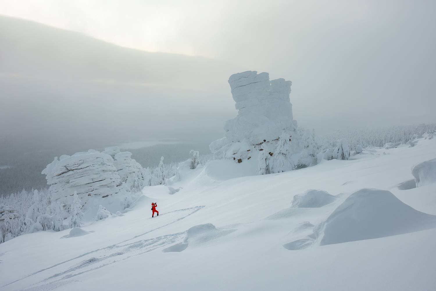 Фотография #13218701