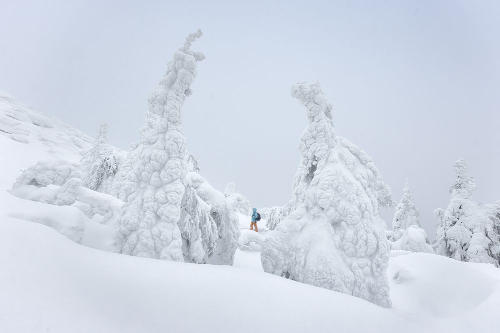 Фотография автора Константин Маланин