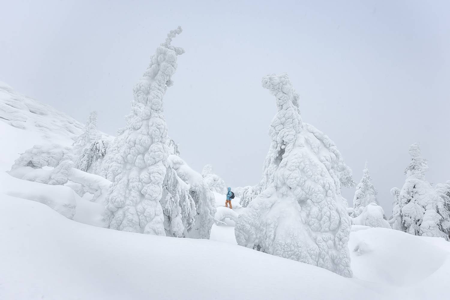 Фотография #13218702