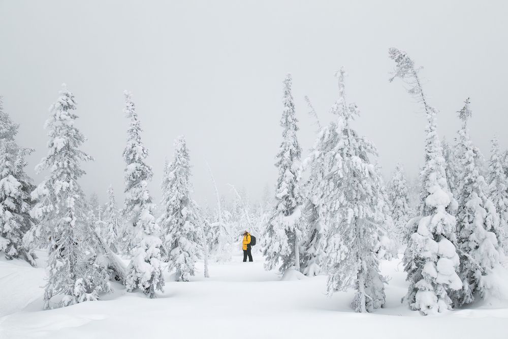 Фотография автора Константин Маланин