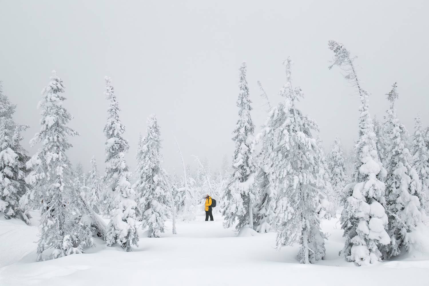 Фотография #13218703