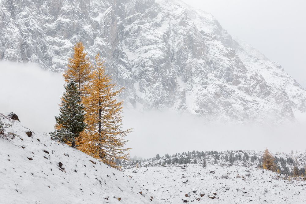 Фотография автора Константин Маланин