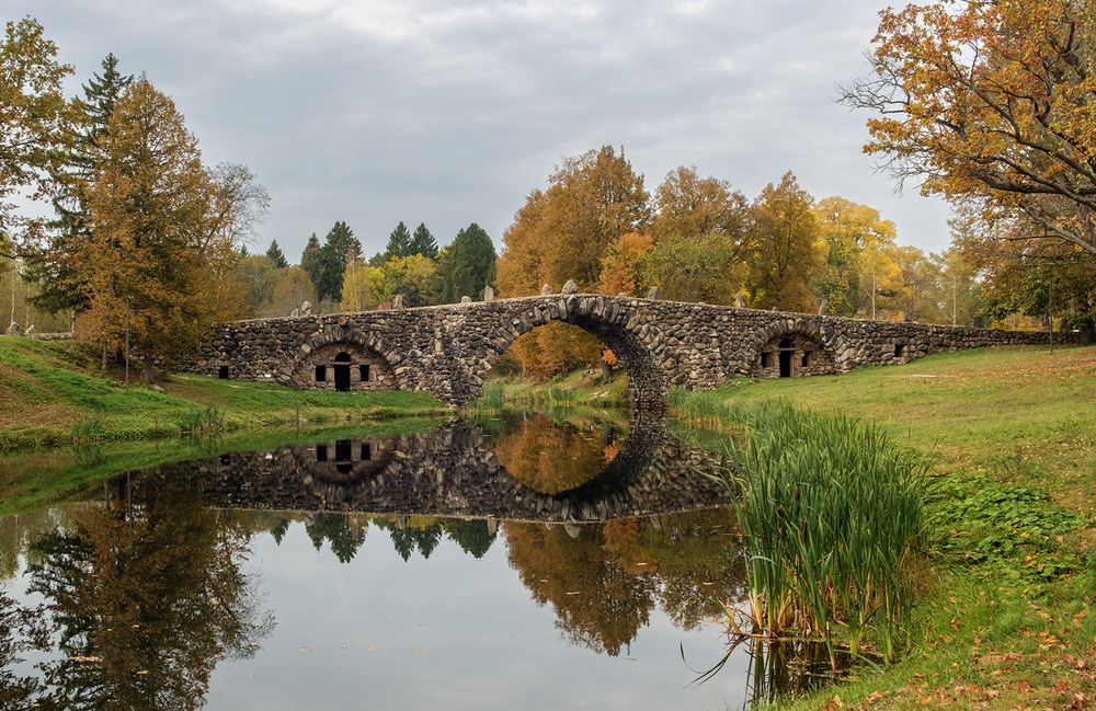Фотография автора Наталья Липовская