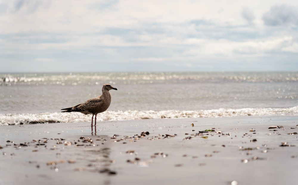 Photograph by Варвара Сорока