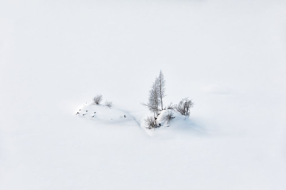 Фотография автора Константин Маланин