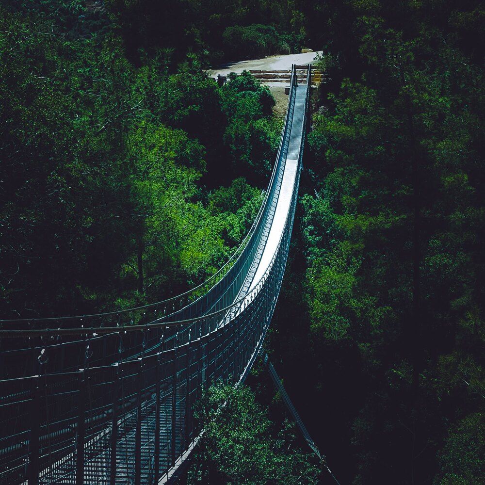 Photograph by Abdallah Khader