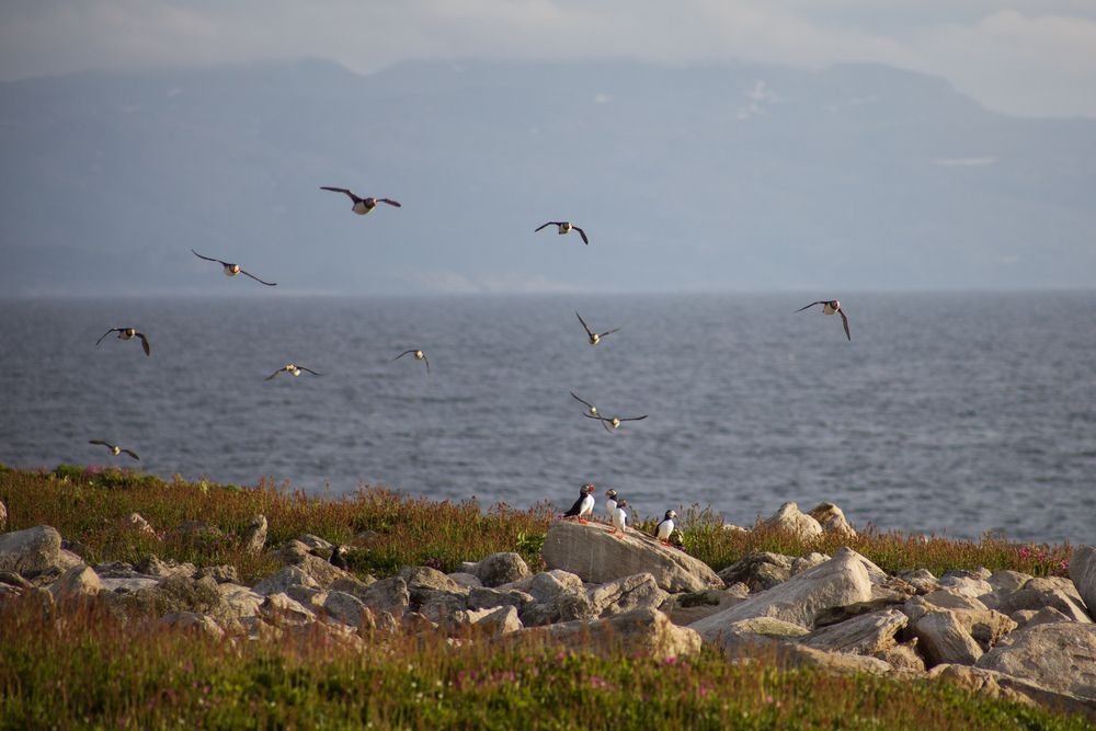 Photograph by Elena Mogilevich