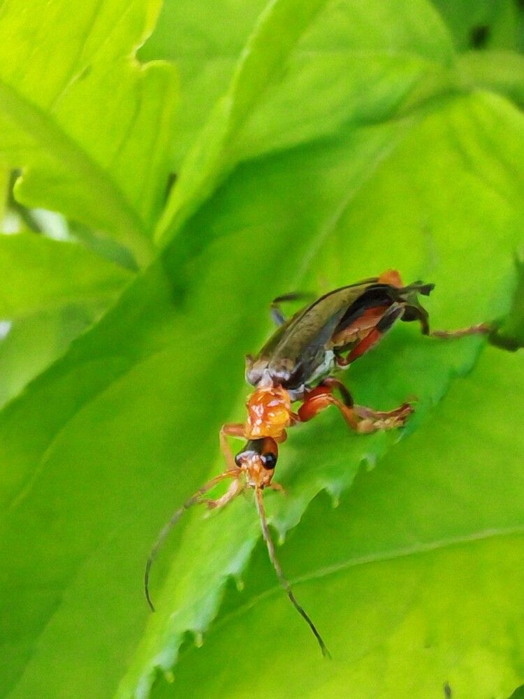 Photograph by Анастасия