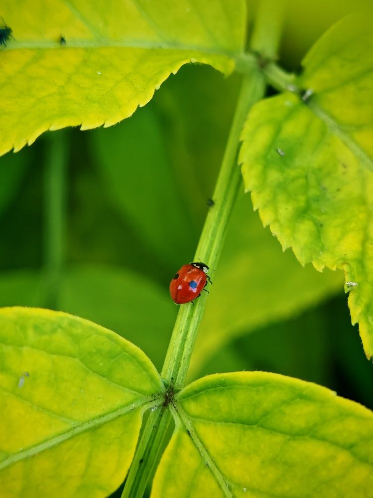Photograph by Анастасия