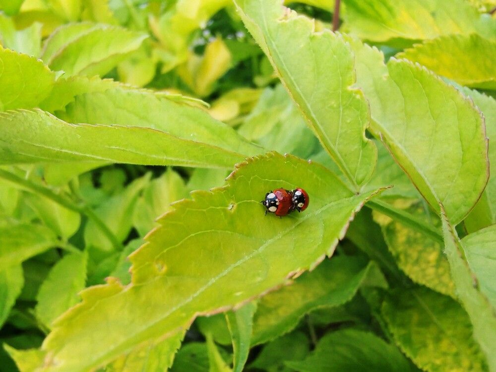 Photograph by Анастасия