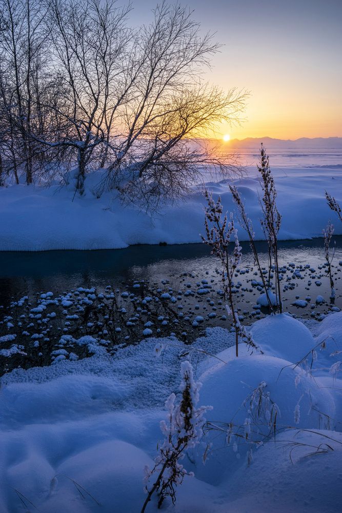 Фотография автора Татьяна Добровольская