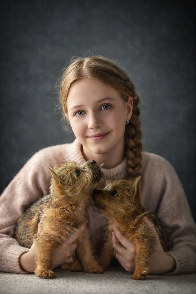 Фотография автора Ольга Софронова