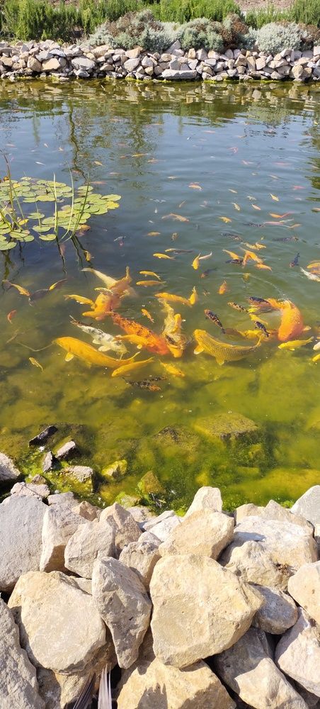 Photograph by Дарина Макарова