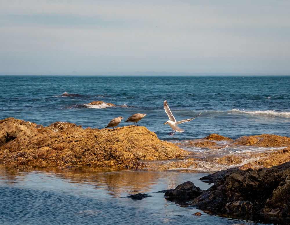 Photograph by Варвара Сорока