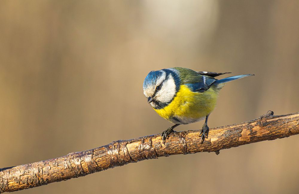 Photograph by Волынский Виктор