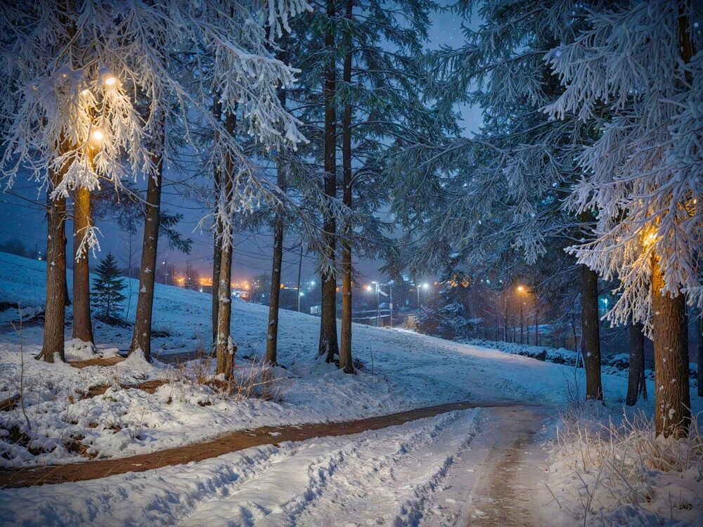 Photograph by Dim Р