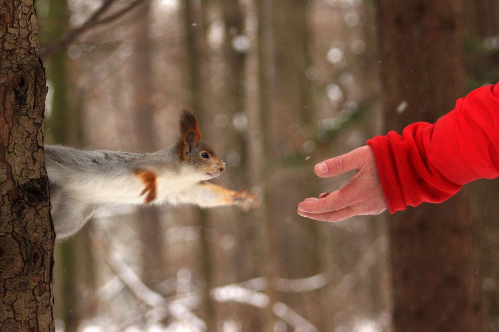 Photograph by Юрий Соколков