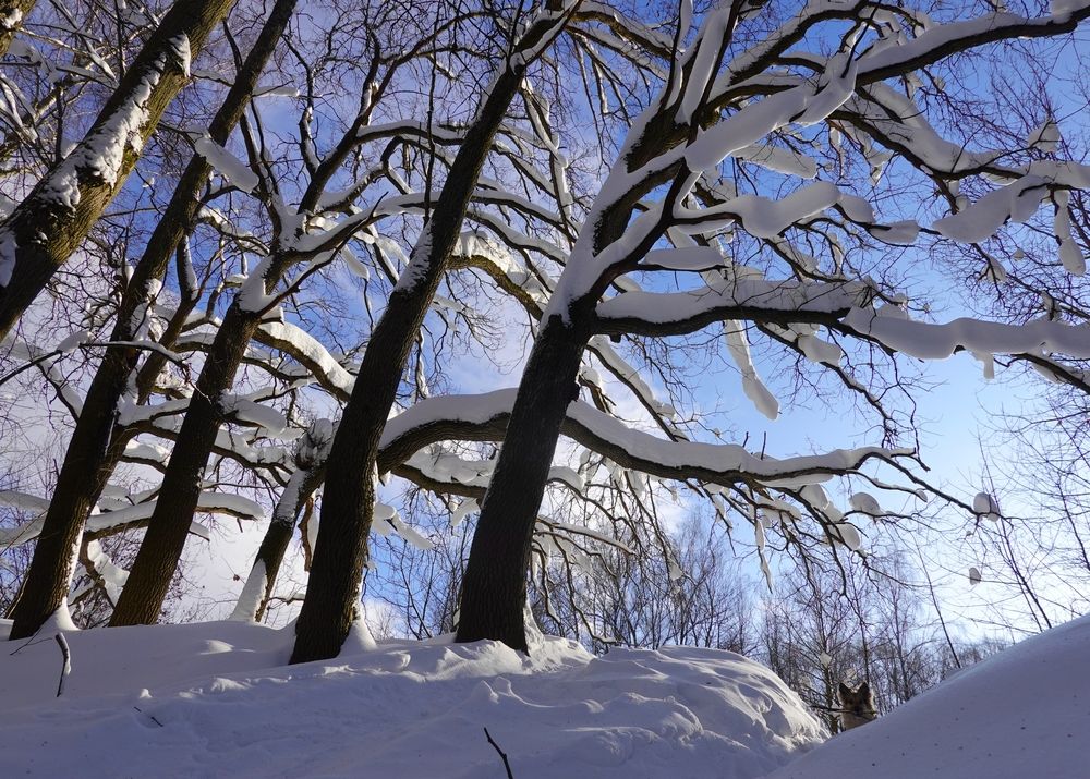 Photograph by Ионова Татьяна