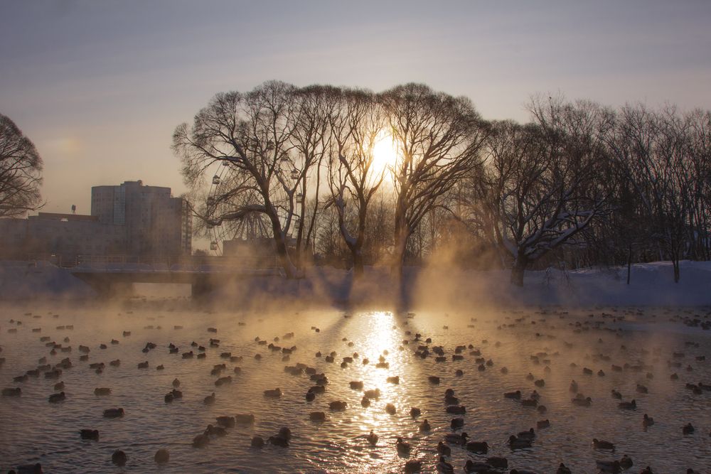 Фотография автора Анастасия Северюхина