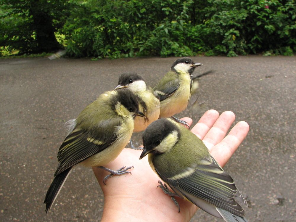 Photograph by Юрий Соколков