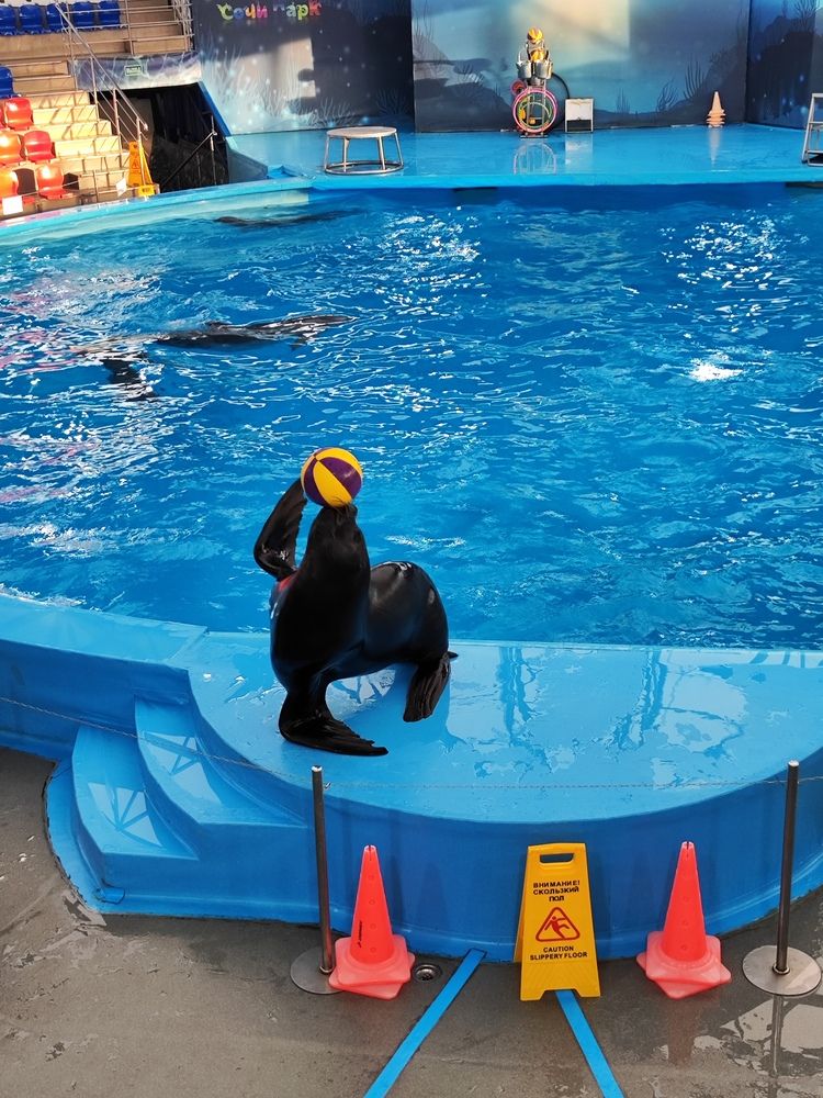 Photograph by Максим Жирнов