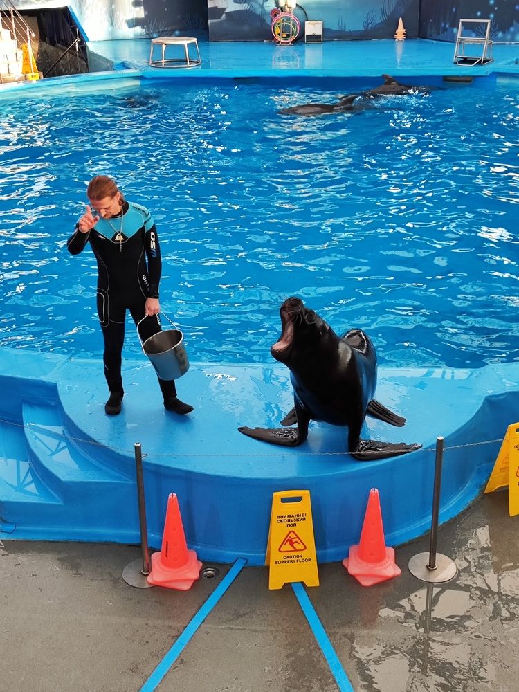 Photograph by Максим Жирнов