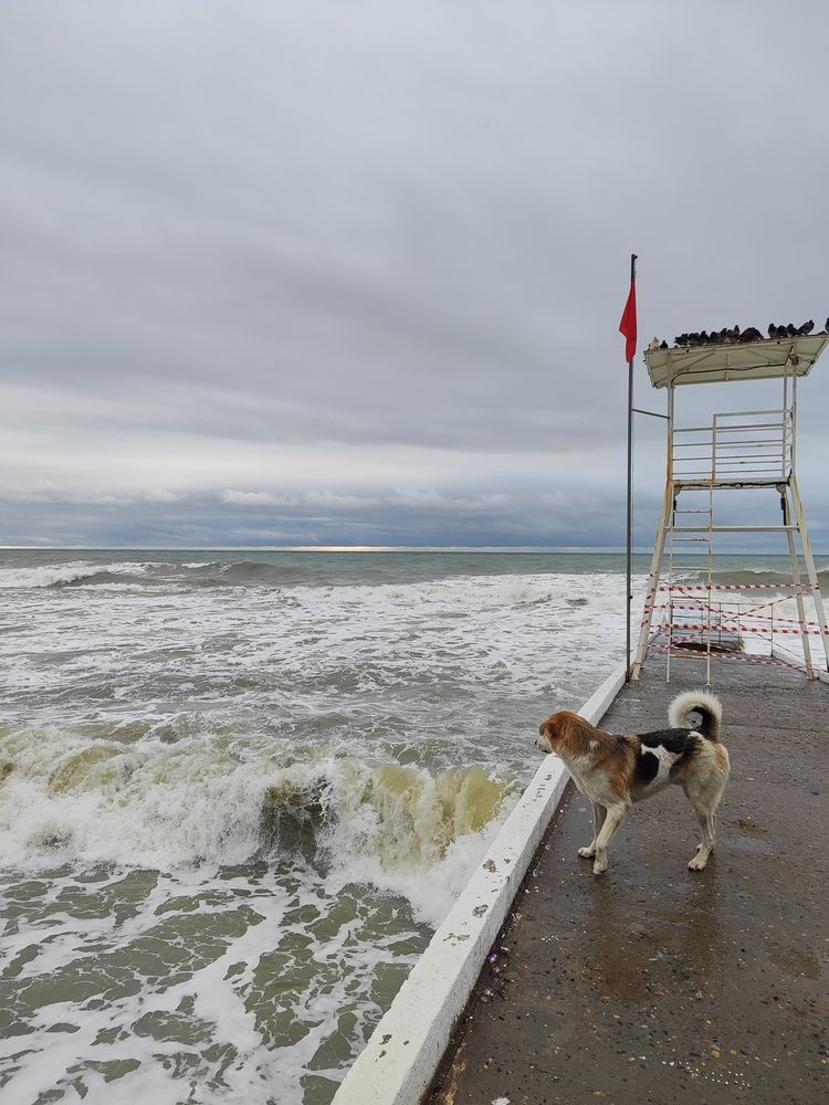 Photograph by Максим Жирнов