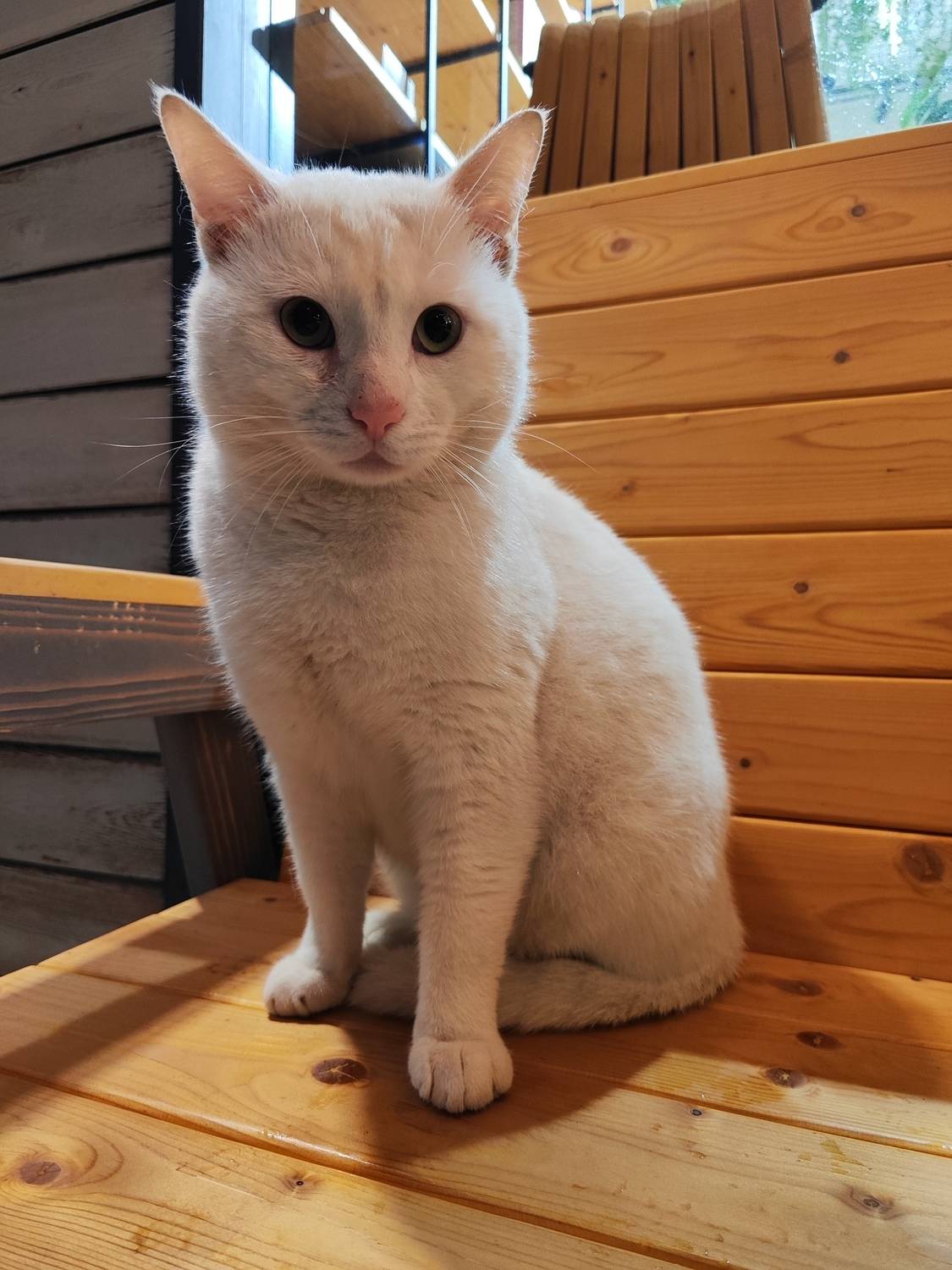 Фотография #13219173