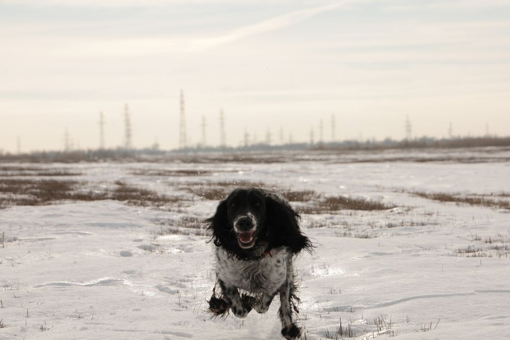 Photograph by Максим Беднев
