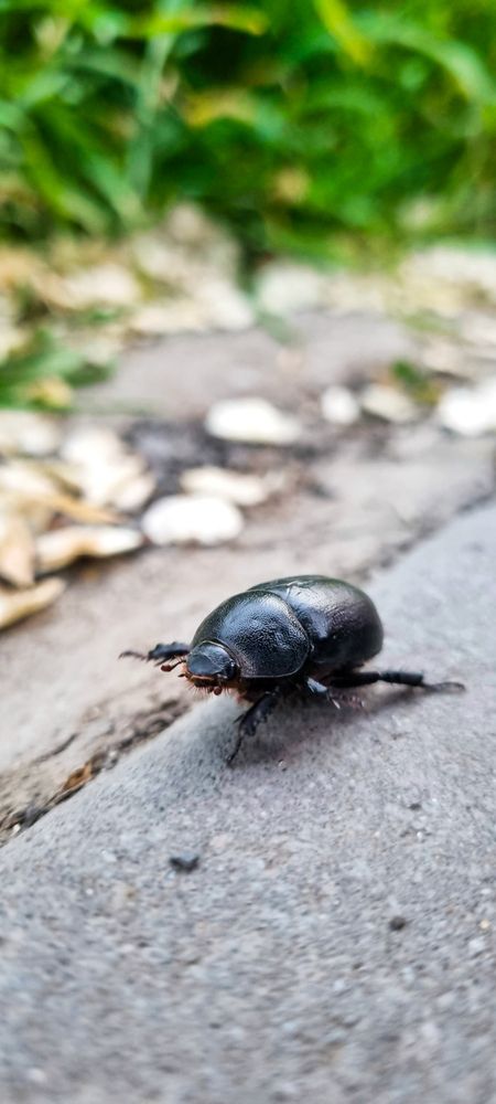 Photograph by Светлана Рыжих