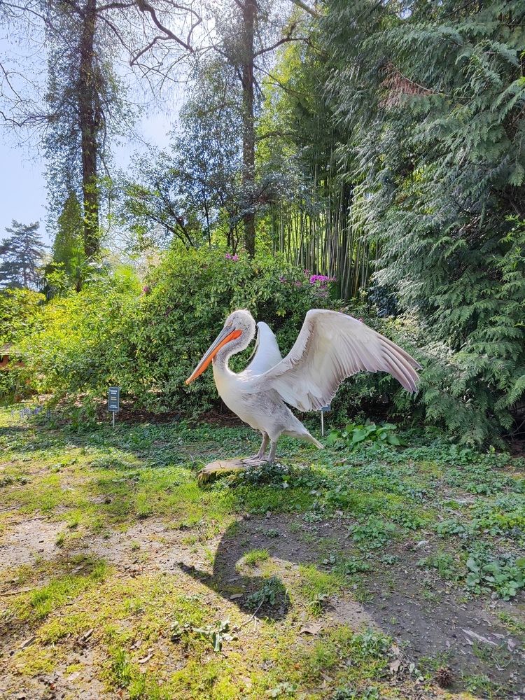 Photograph by Максим Жирнов