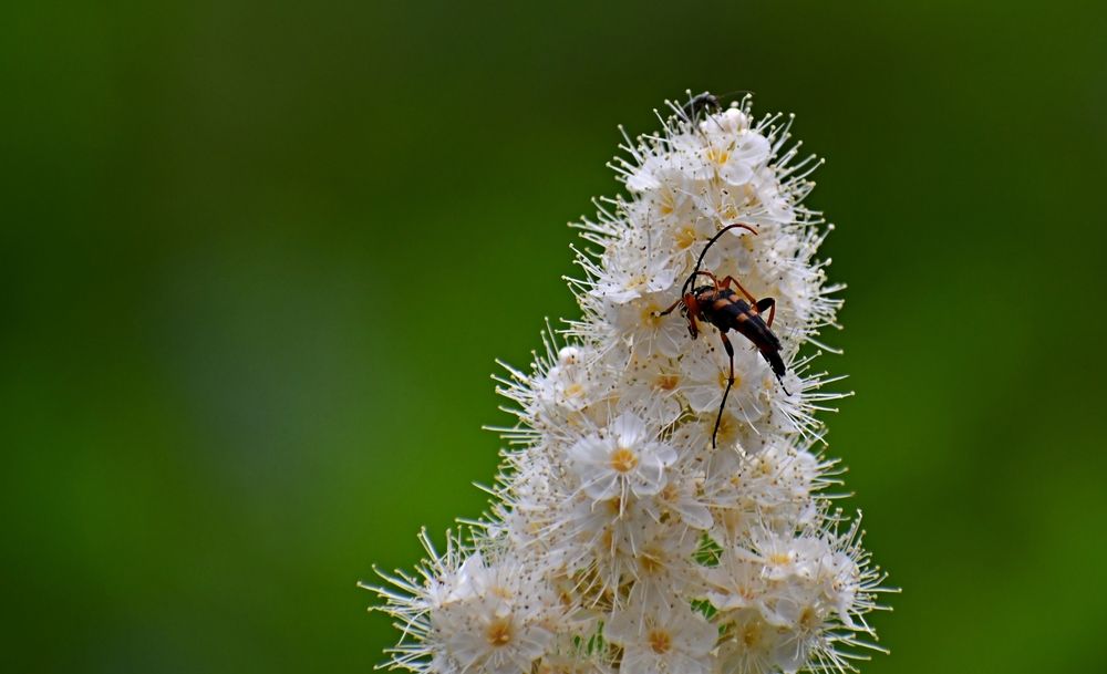 Photograph by Игорь Седунов