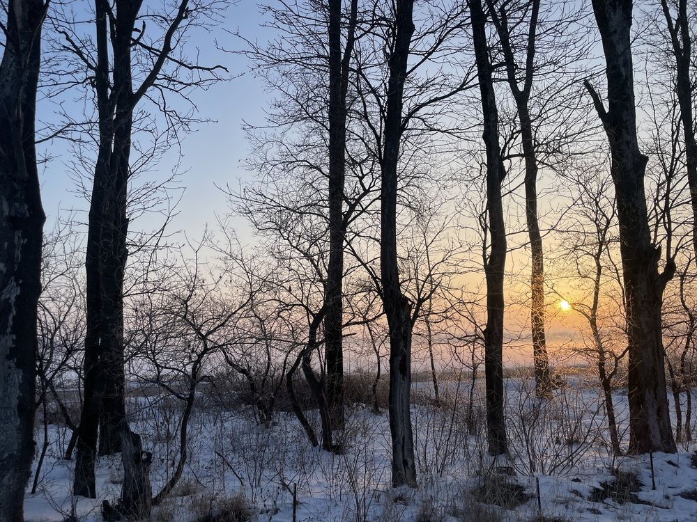 Photograph by Юлия Новичихина