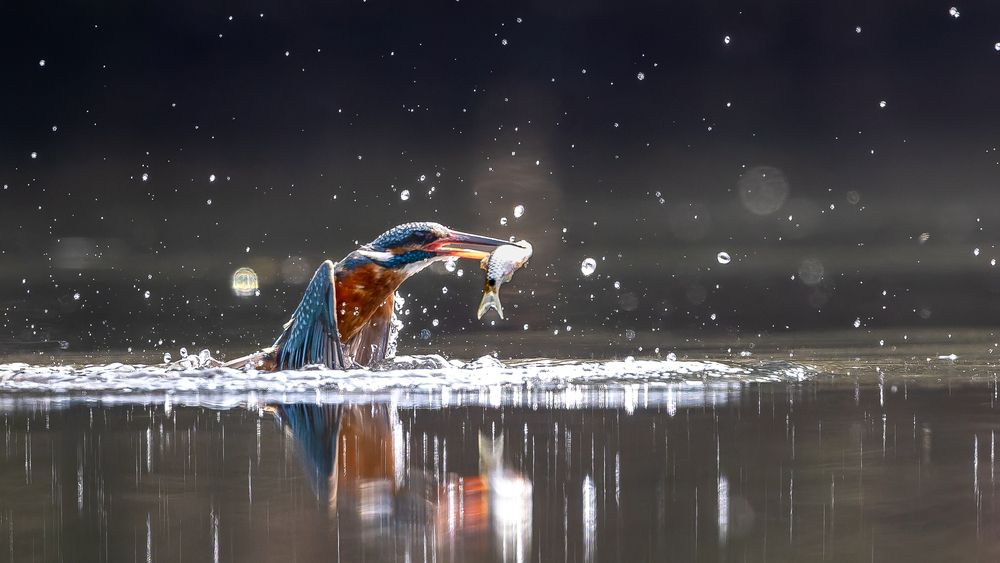 Фотография автора Sanjay Risbood