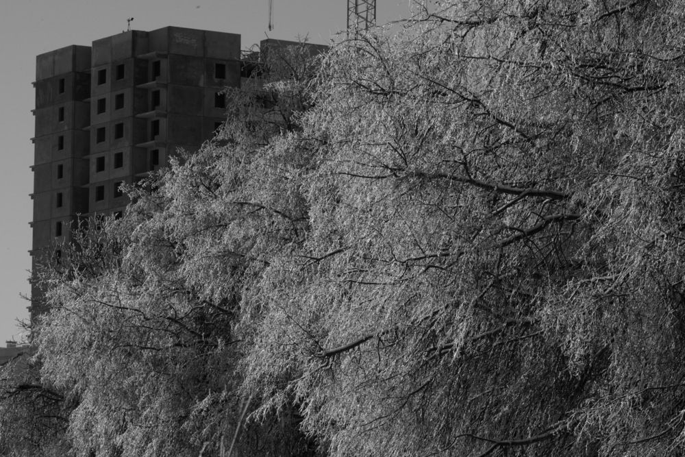Photograph by Дмитрий Дрозд