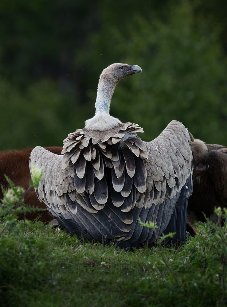 Photograph by Андрей Родионов