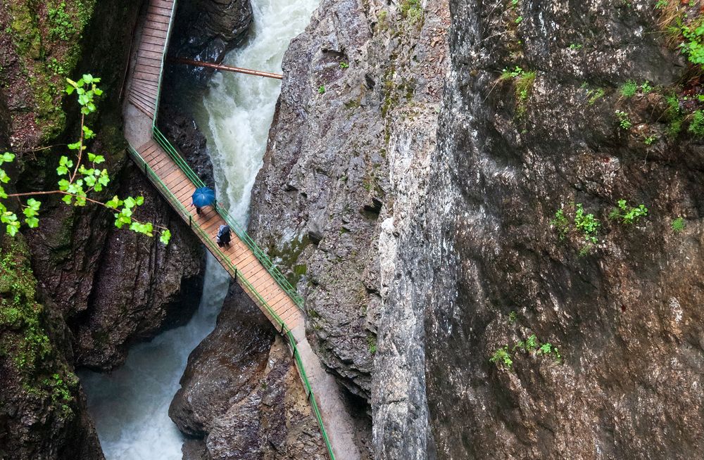 Фотография автора Сергей Сынтин