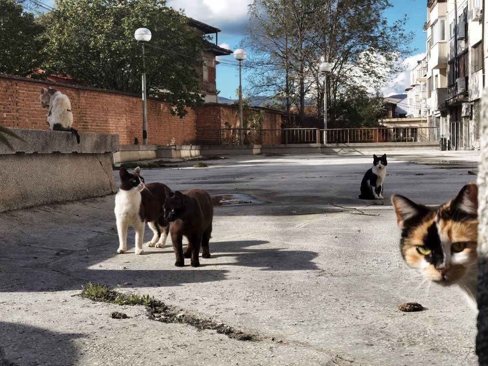 Photograph by Dimitar