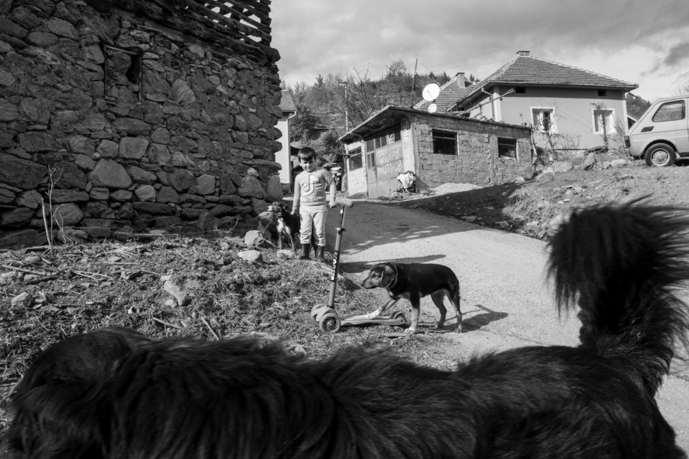 Photograph by Dimitar