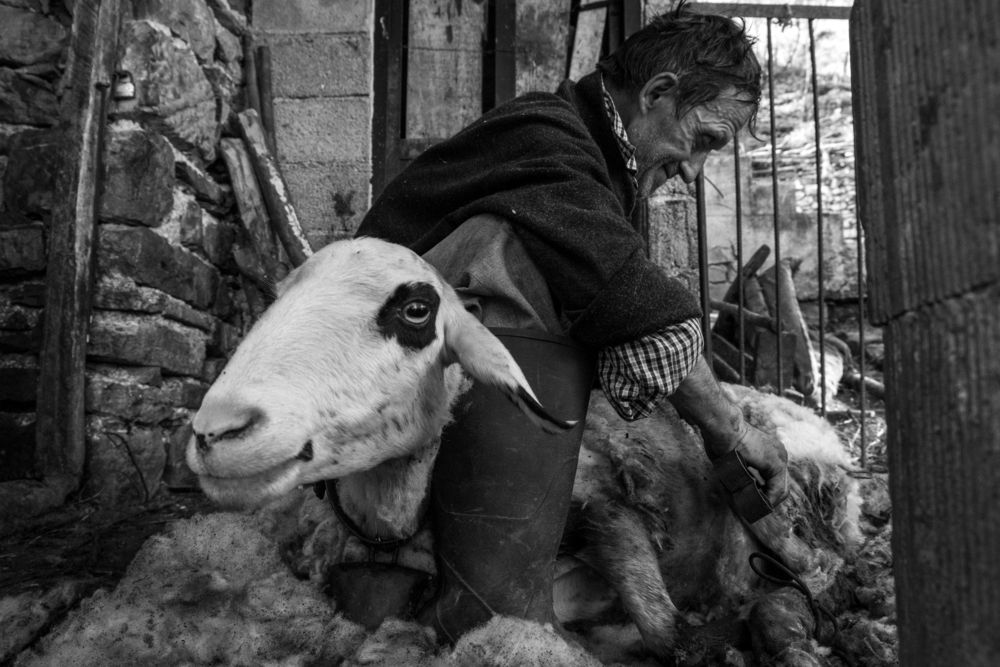 Photograph by Dimitar