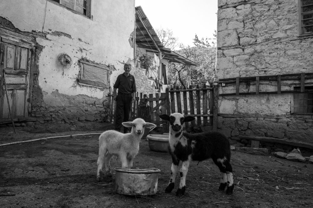 Photograph by Dimitar