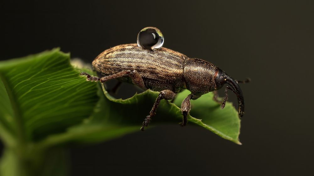 Photograph by Железнова Людмила