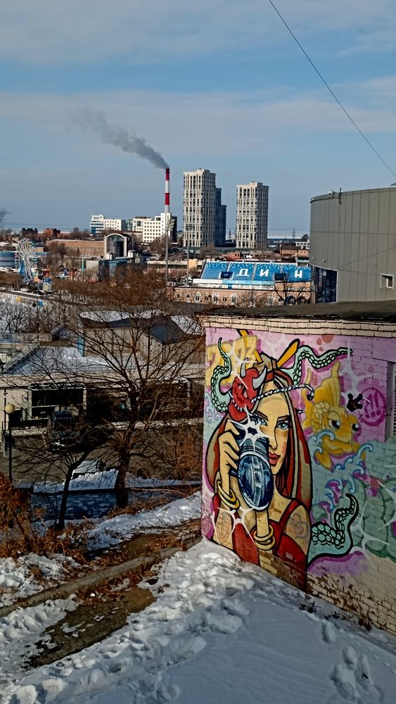 Photo #13219468