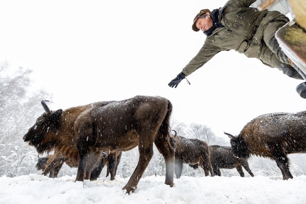 Фотография автора Владислав Колодюк