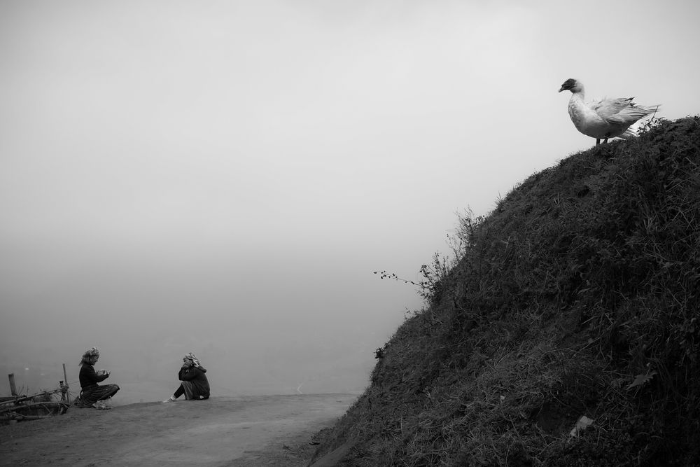 Photograph by Hoai Anh Dang