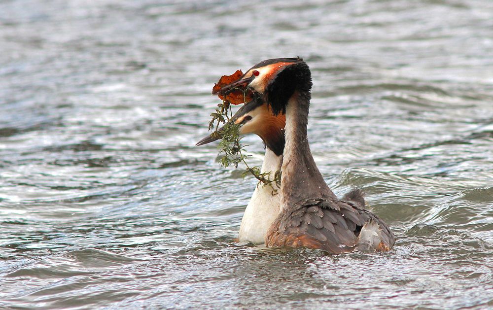 Фотография автора Михаил Крюков