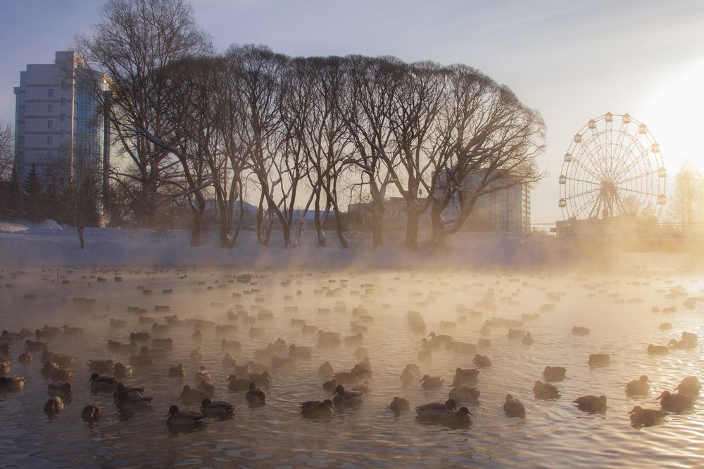 Фотография автора Анастасия Северюхина