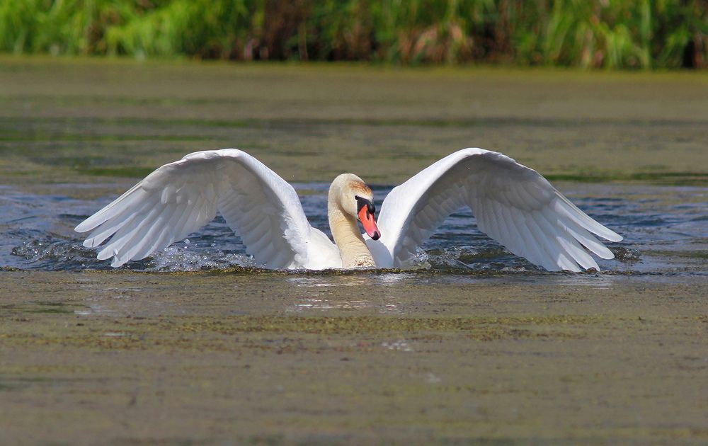 Фотография автора Михаил Крюков