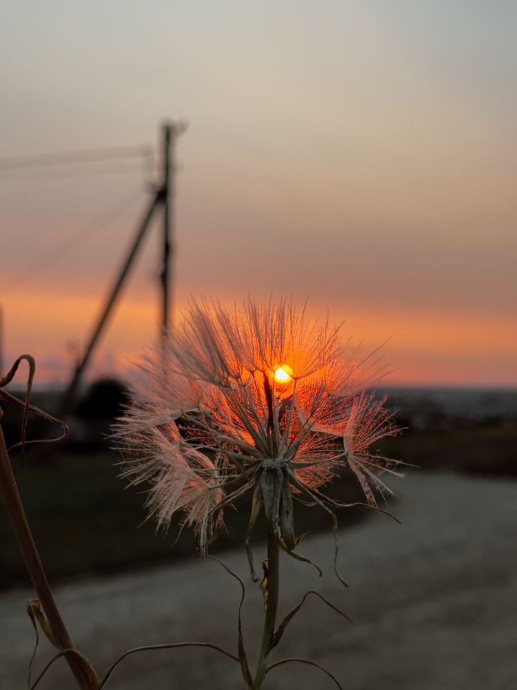 Photograph by Анна Голубцова