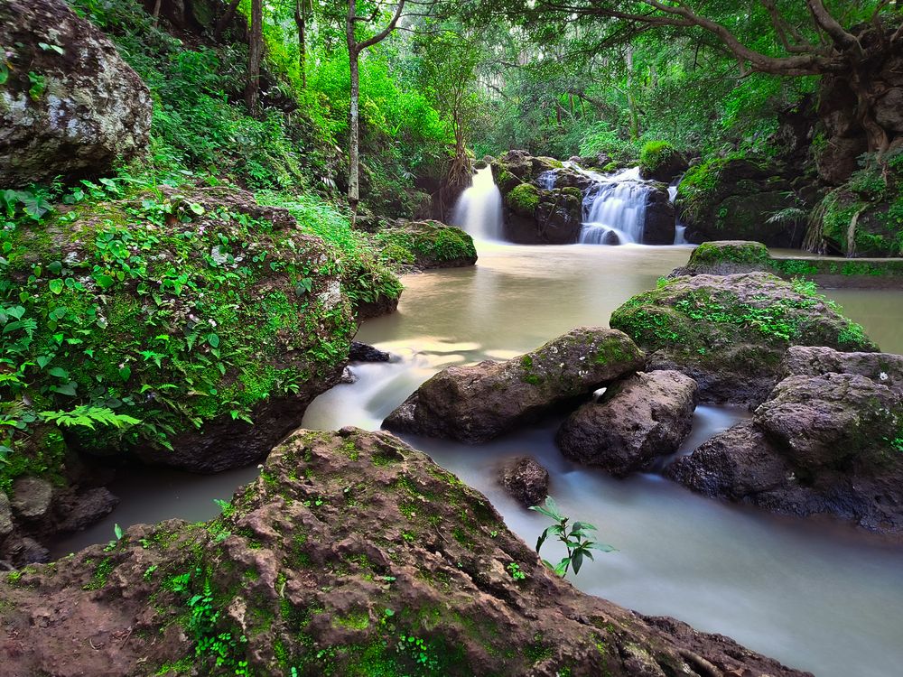 Photograph by AYANENDU DE